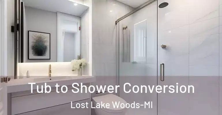 inner Bathroom imggen Tub to Shower Conversion Lost Lake Woods-MI