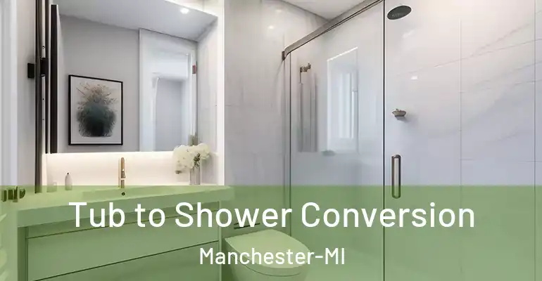 inner Bathroom imggen Tub to Shower Conversion Manchester-MI