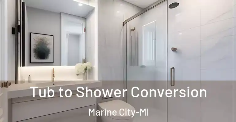 inner Bathroom imggen Tub to Shower Conversion Marine City-MI