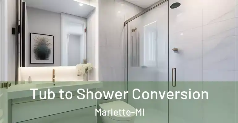 inner Bathroom imggen Tub to Shower Conversion Marlette-MI