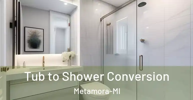 inner Bathroom imggen Tub to Shower Conversion Metamora-MI