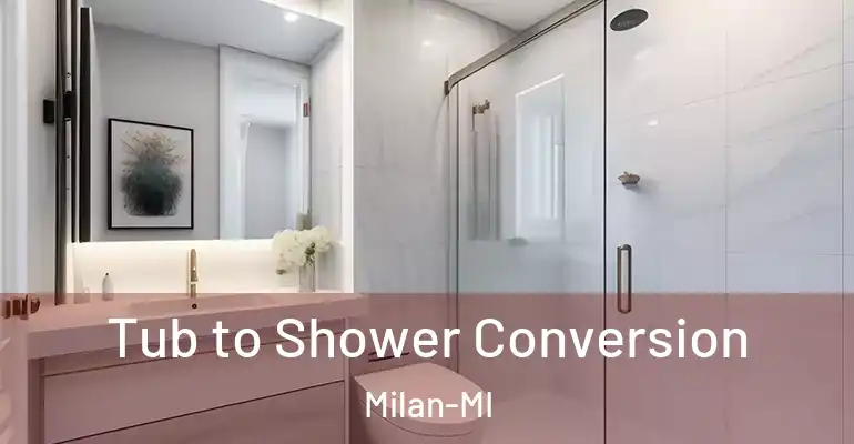 inner Bathroom imggen Tub to Shower Conversion Milan-MI