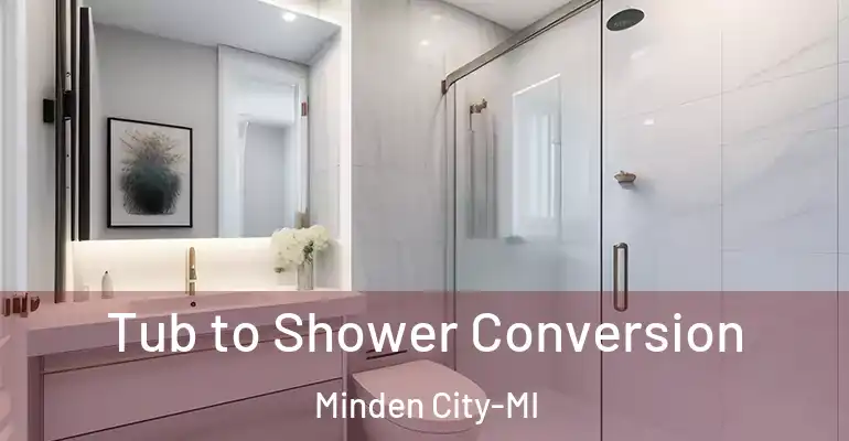 inner Bathroom imggen Tub to Shower Conversion Minden City-MI