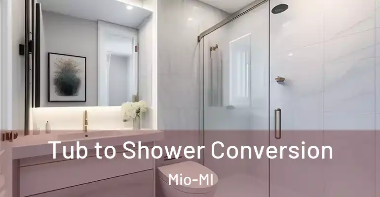 inner Bathroom imggen Tub to Shower Conversion Mio-MI