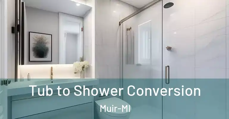 inner Bathroom imggen Tub to Shower Conversion Muir-MI