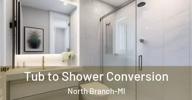 inner Bathroom imggen Tub to Shower Conversion North Branch-MI