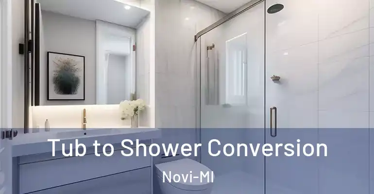 inner Bathroom imggen Tub to Shower Conversion Novi-MI
