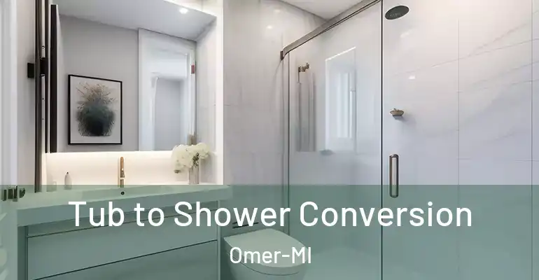 inner Bathroom imggen Tub to Shower Conversion Omer-MI