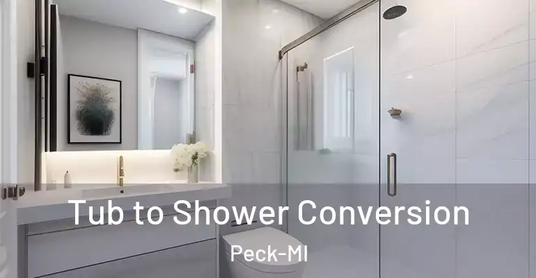 inner Bathroom imggen Tub to Shower Conversion Peck-MI