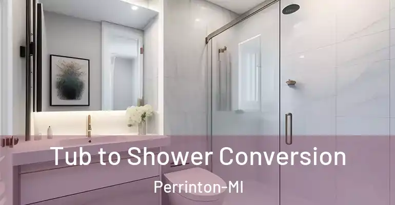 inner Bathroom imggen Tub to Shower Conversion Perrinton-MI