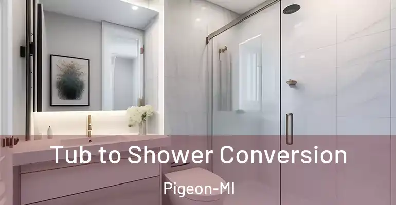 inner Bathroom imggen Tub to Shower Conversion Pigeon-MI