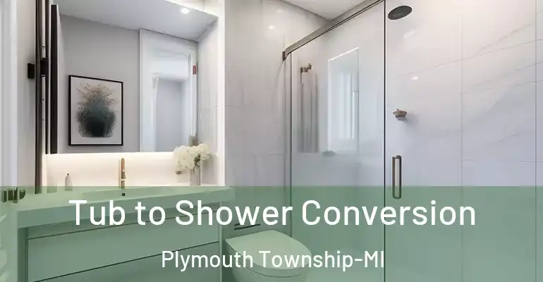 inner Bathroom imggen Tub to Shower Conversion Plymouth Township-MI