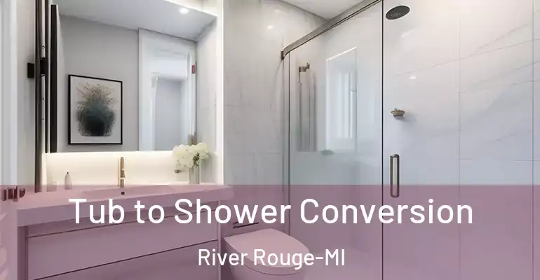 inner Bathroom imggen Tub to Shower Conversion River Rouge-MI