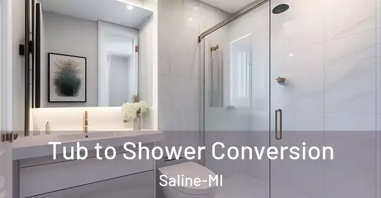 inner Bathroom imggen Tub to Shower Conversion Saline-MI