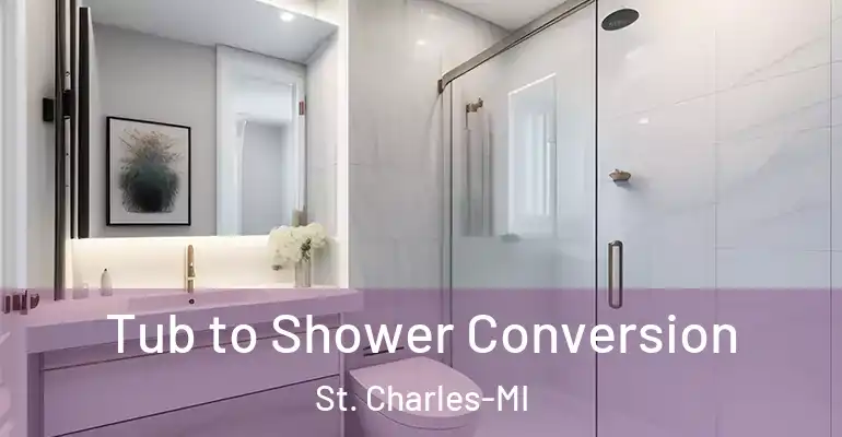 inner Bathroom imggen Tub to Shower Conversion St. Charles-MI