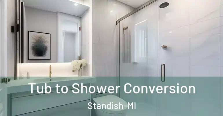 inner Bathroom imggen Tub to Shower Conversion Standish-MI