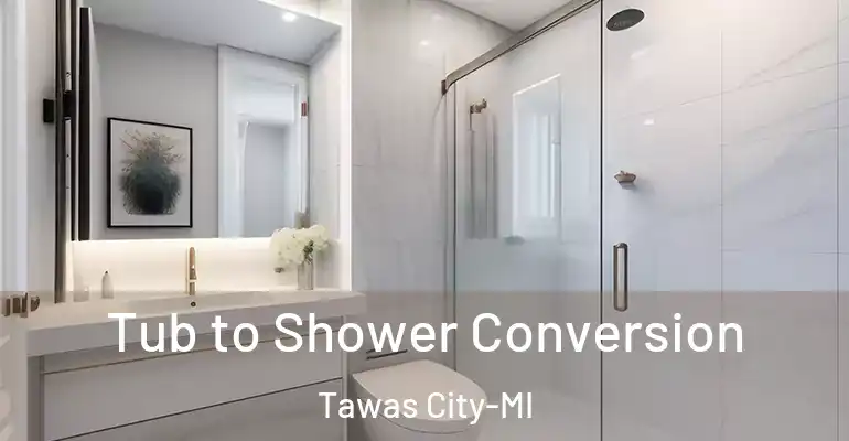 inner Bathroom imggen Tub to Shower Conversion Tawas City-MI