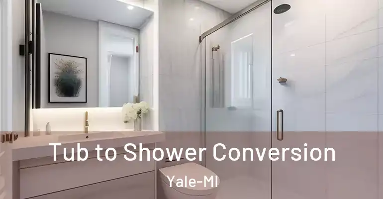 inner Bathroom imggen Tub to Shower Conversion Yale-MI