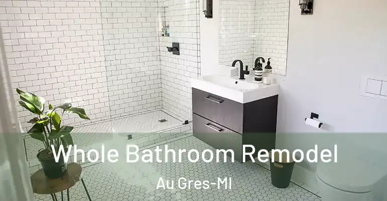 inner Bathroom imggen Whole Bathroom Remodel Au Gres-MI