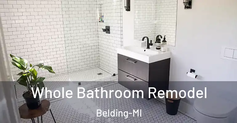 inner Bathroom imggen Whole Bathroom Remodel Belding-MI