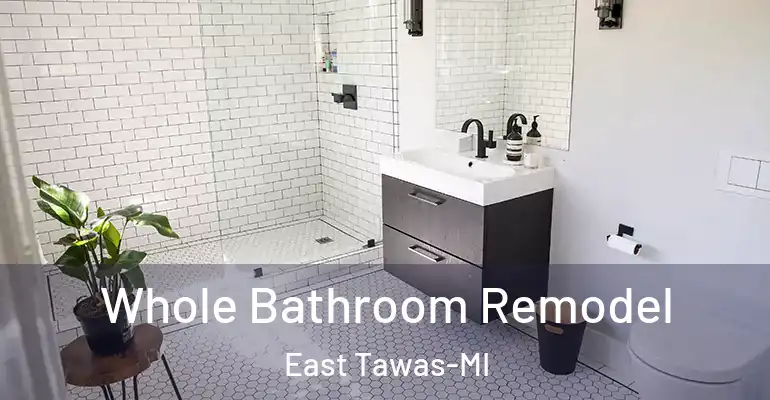 inner Bathroom imggen Whole Bathroom Remodel East Tawas-MI