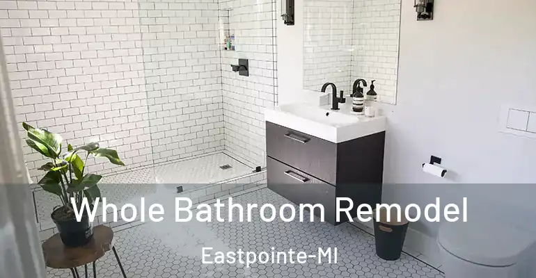 inner Bathroom imggen Whole Bathroom Remodel Eastpointe-MI