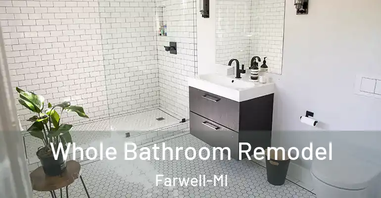 inner Bathroom imggen Whole Bathroom Remodel Farwell-MI