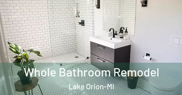 inner Bathroom imggen Whole Bathroom Remodel Lake Orion-MI