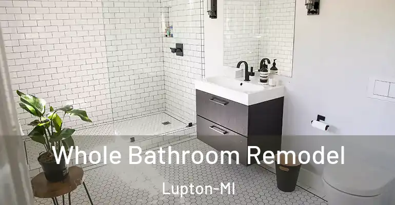 inner Bathroom imggen Whole Bathroom Remodel Lupton-MI
