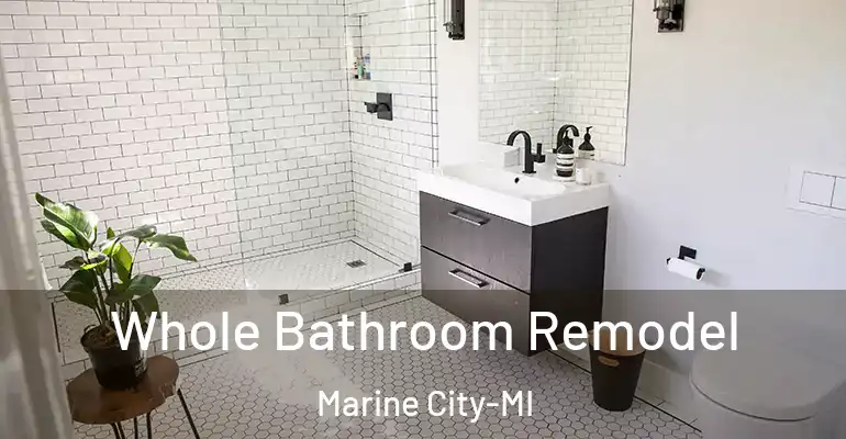 inner Bathroom imggen Whole Bathroom Remodel Marine City-MI