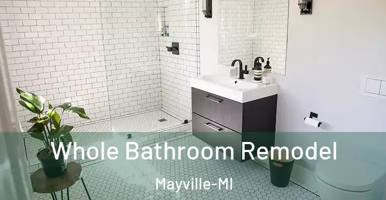 inner Bathroom imggen Whole Bathroom Remodel Mayville-MI