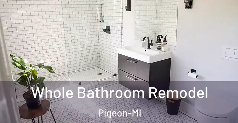 inner Bathroom imggen Whole Bathroom Remodel Pigeon-MI