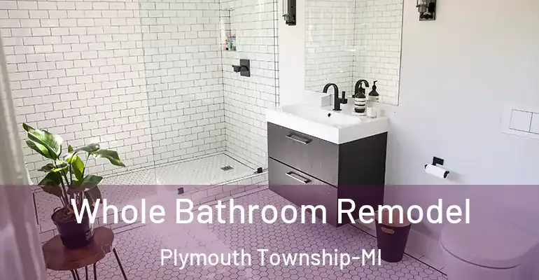 inner Bathroom imggen Whole Bathroom Remodel Plymouth Township-MI