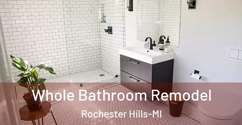 inner Bathroom imggen Whole Bathroom Remodel Rochester Hills-MI