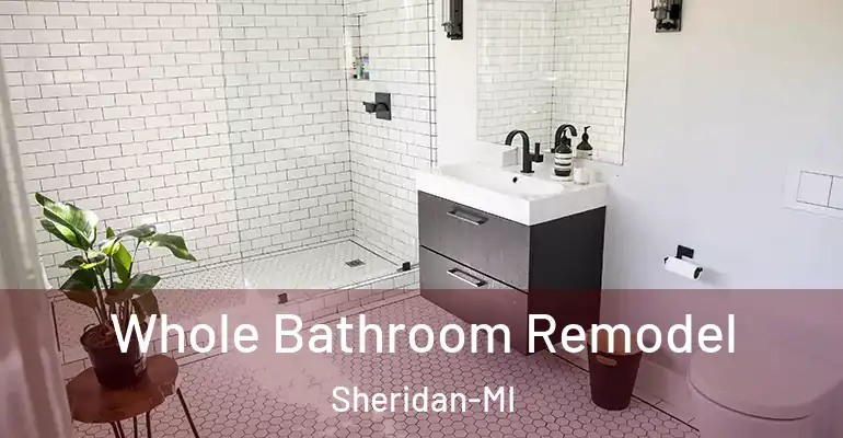 inner Bathroom imggen Whole Bathroom Remodel Sheridan-MI