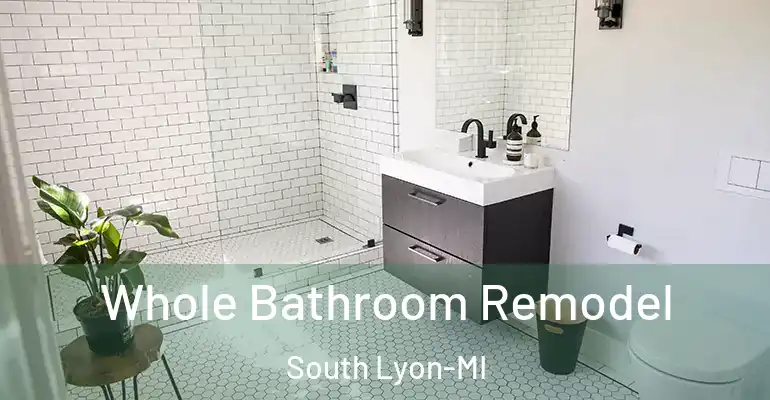 inner Bathroom imggen Whole Bathroom Remodel South Lyon-MI